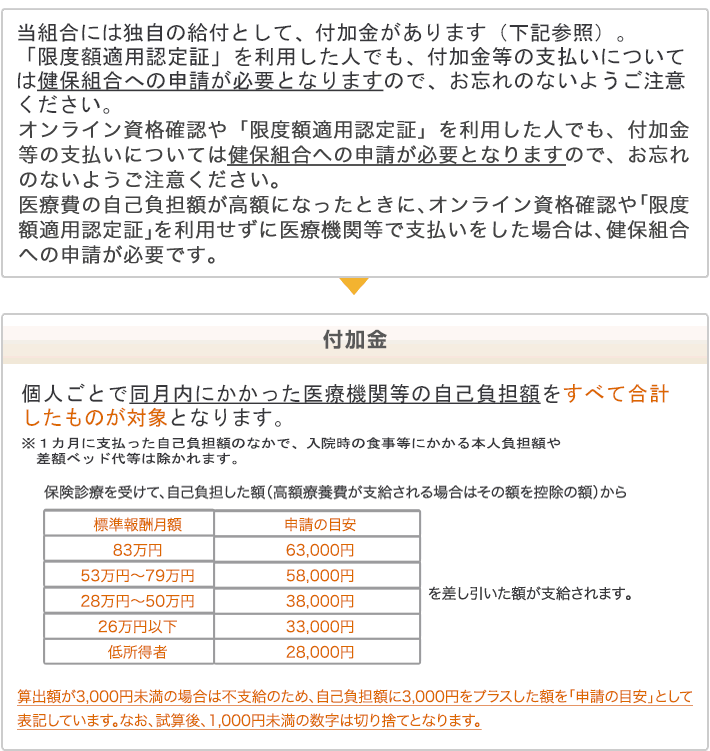 認定 額 保険 書 申請 適用 限度 健康