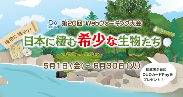 Webウォーキング大会